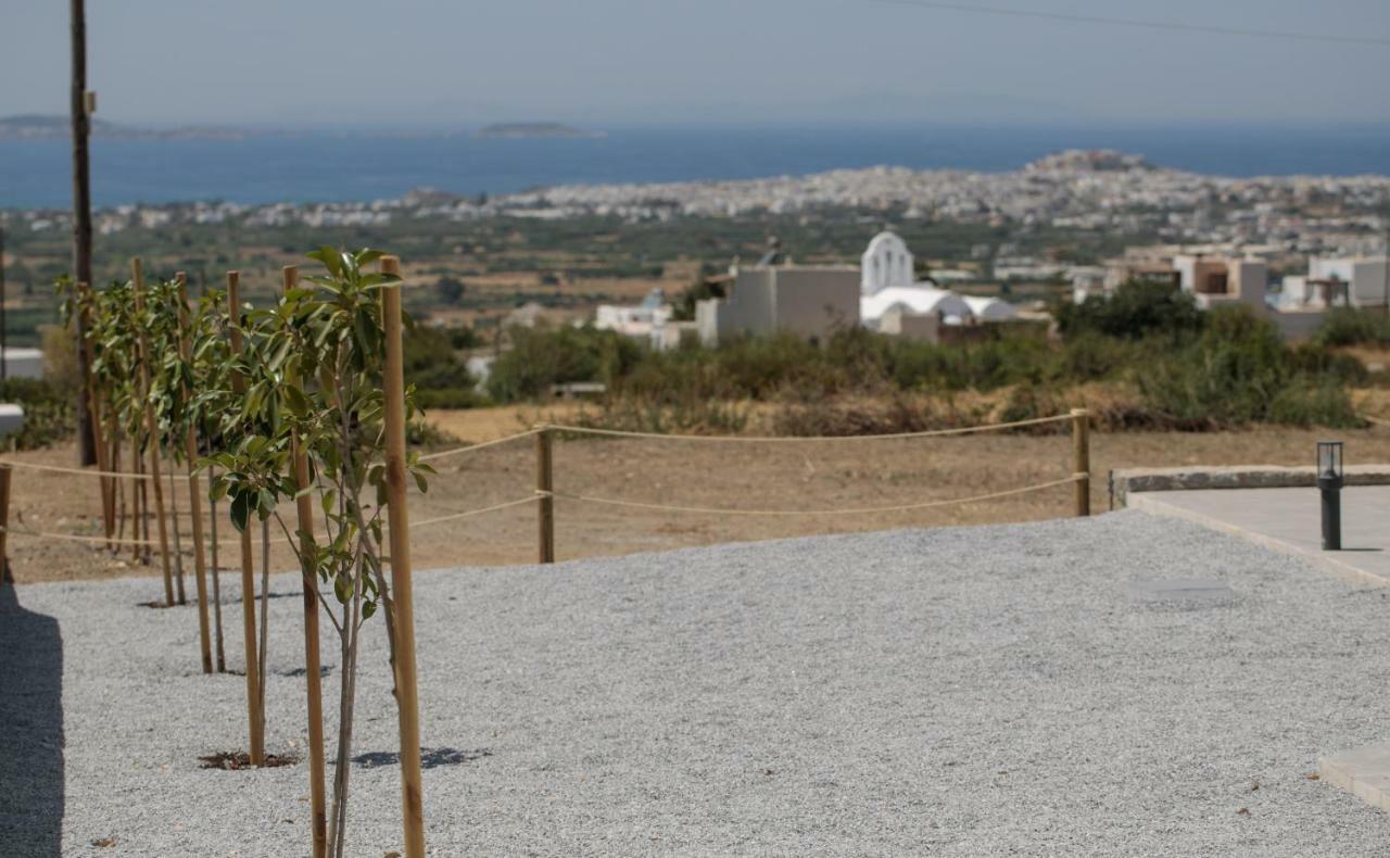 Galanado Naxos Infinity Villa And Suites מראה חיצוני תמונה